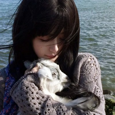 美味情缘国语